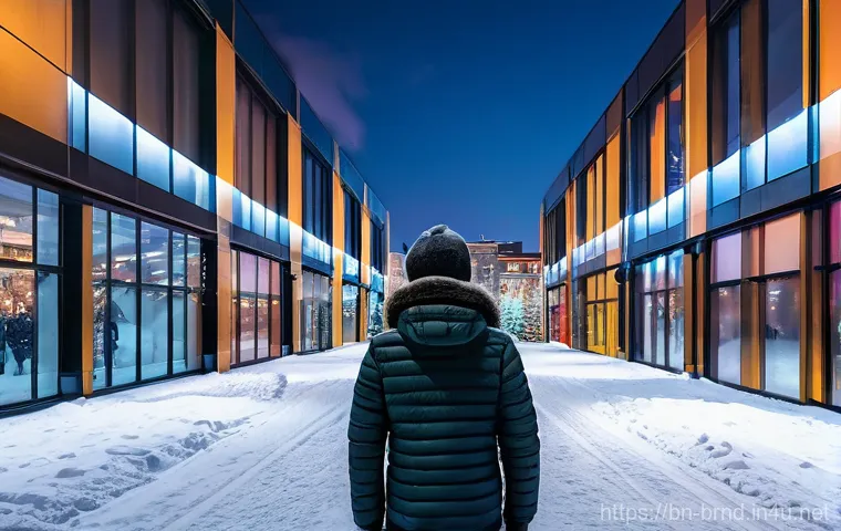 캐나다구스와 우모니아 패딩 비교 - Here are three detailed image generation prompts in English, adhering to all the specified guideline...